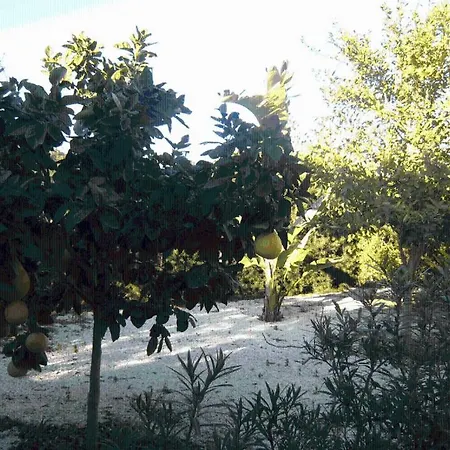 וילה Cyprus פאהיה