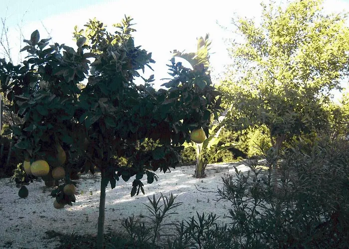 Βίλα Cyprus Πέγεια